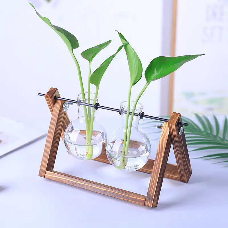 Stylish Glass Plant Propagation Vase