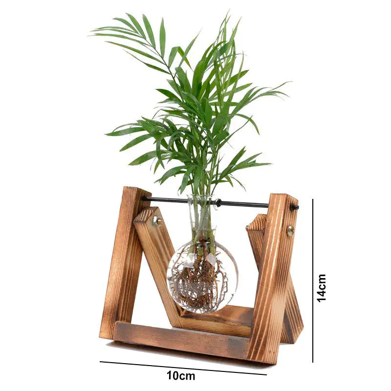 Stylish Glass Plant Propagation Vase