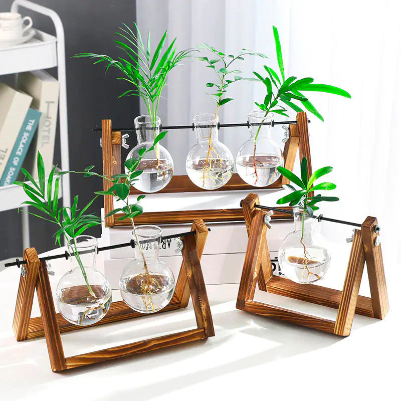 Stylish Glass Plant Propagation Vase