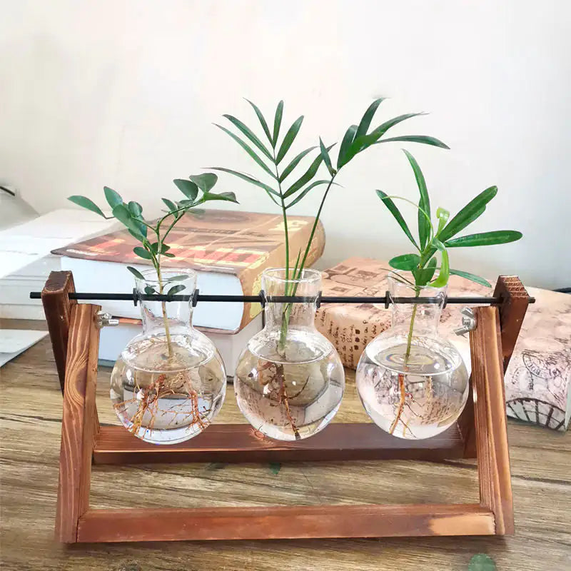 Stylish Glass Plant Propagation Vase