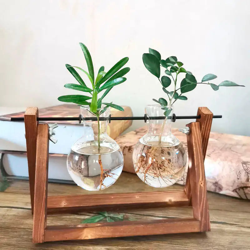 Stylish Glass Plant Propagation Vase