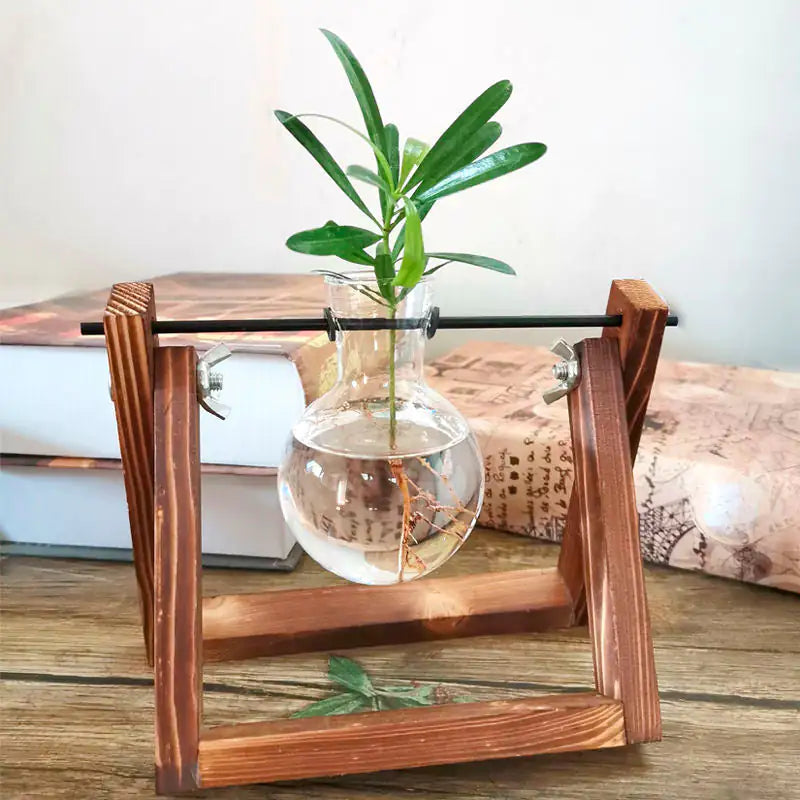 Stylish Glass Plant Propagation Vase