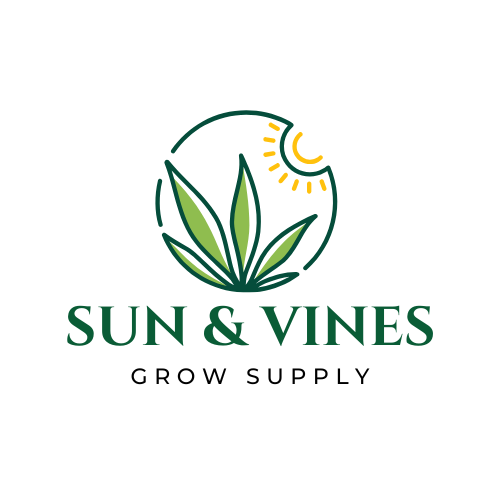 Sun and Vines